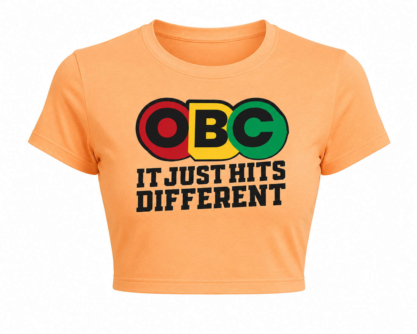 OBC It Just Hits Different Crop Top (FAMU)